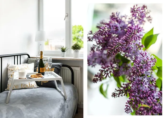 Superapart Chelmska 22 - Blisko Olinek I Wfdif Varsó